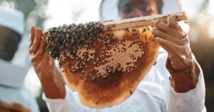 Scopri di più sull'articolo Guerlain sostiene l’imprenditoria femminile nel settore dell’apicoltura in Ruanda